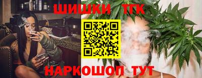 стаф Тула