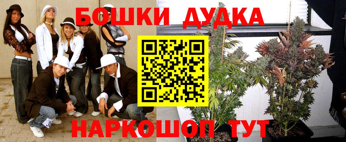 Конопля Bruce Banner  Вход с VPN  Каннабис LSD WEED  Канабис конопля  Муравленко  Канабис гибрид 